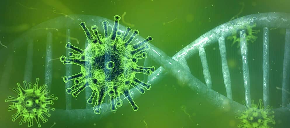 Visual coronavirus